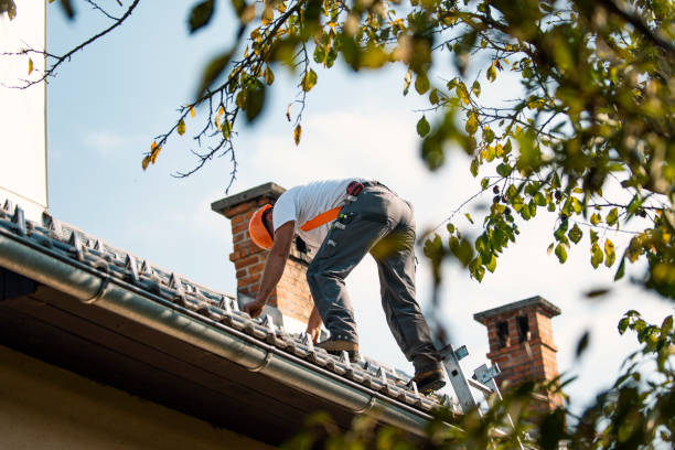 Best Storm Damage Roof Repair  in Wrangell, AK