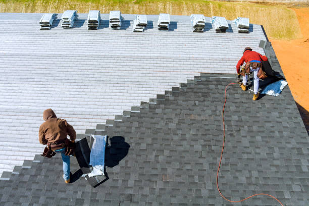 Best Roof Leak Repair  in Wrangell, AK