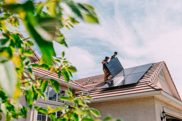 Best Roof Gutter Cleaning  in Wrangell, AK