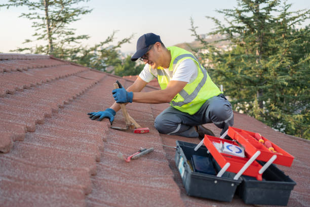 Best Residential Roofing Contractor  in Wrangell, AK