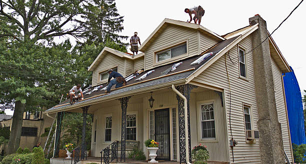 Best Roof Maintenance Services  in Wrangell, AK