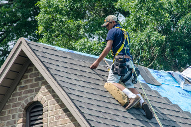 Best Roof Repair Services  in Wrangell, AK
